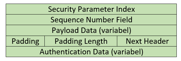 Aufbau von Encapsulating Security Payload